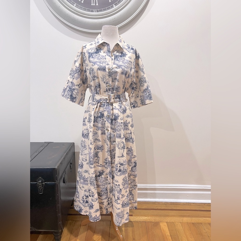 RARE Aliza by JM button down collared paintings dress